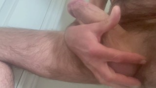 ビデオプレビュー