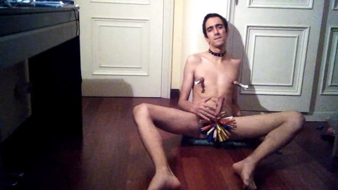 slave sparrow