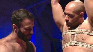 Leather, beards, oral job